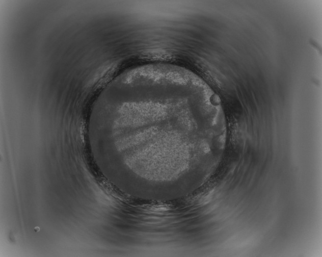 X0000097480643200803071717