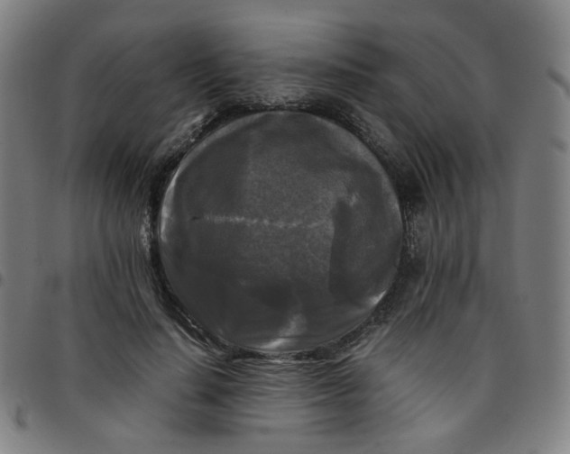 X0000097480644200803071717