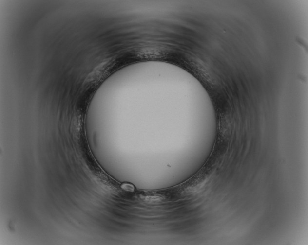 X0000097480645200803071717