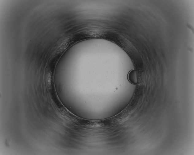 X0000097480646200803071717