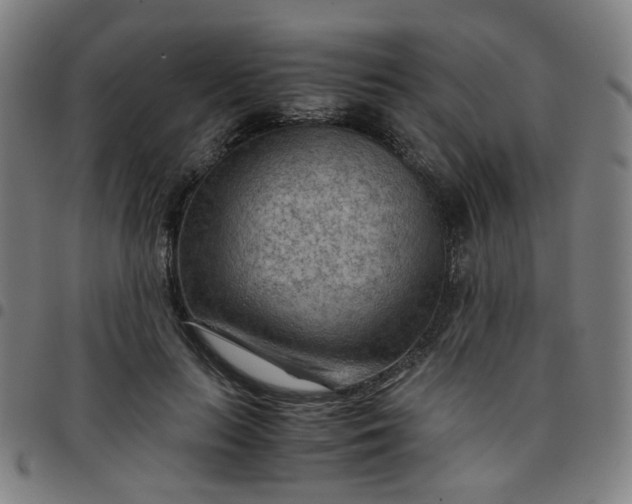 X0000097480647200803071717