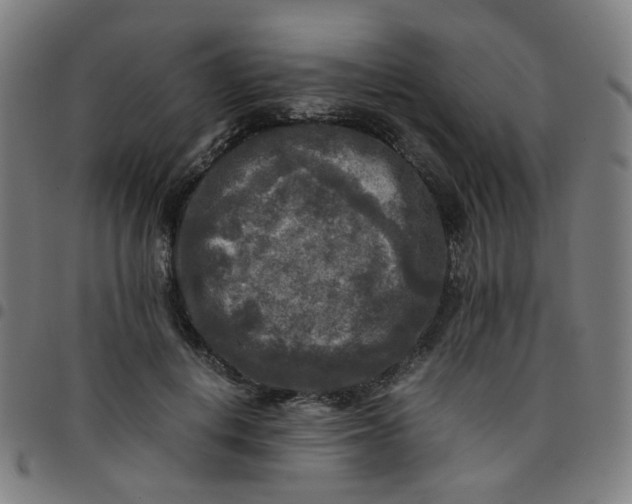 X0000097480648200803071717