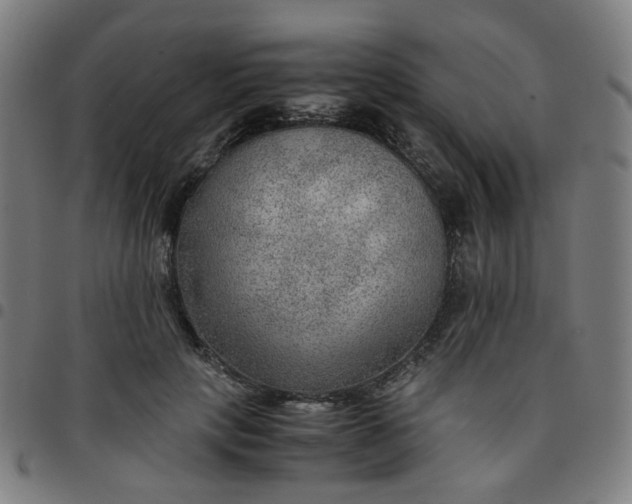 X0000097480649200803071717