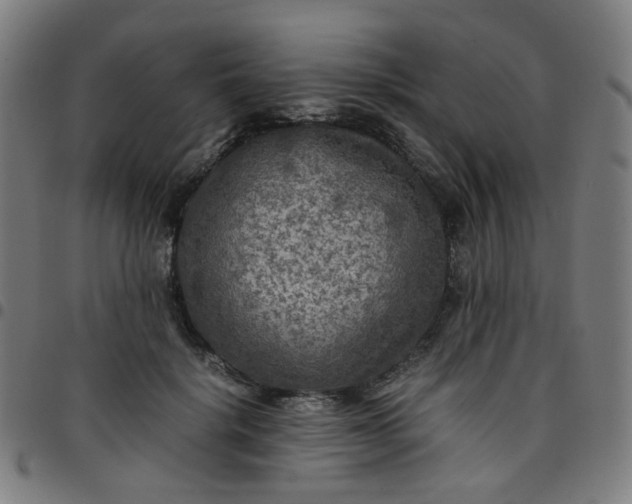 X0000097480652200803071717