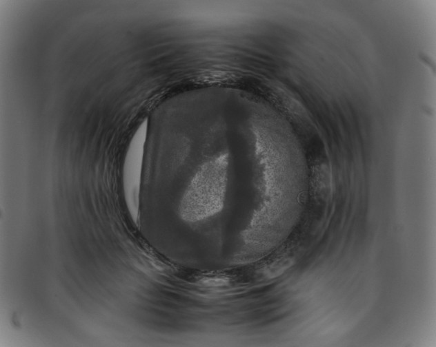 X0000097480653200803071717