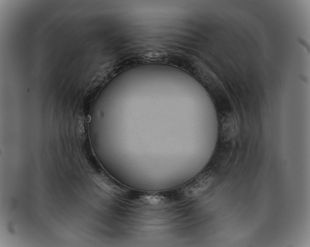 X0000097480654200803071717