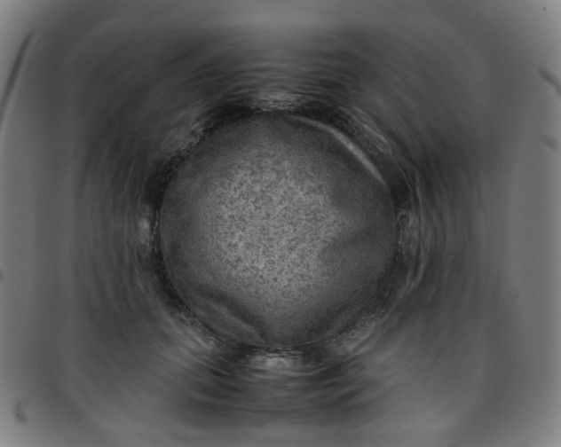 X0000097480655200803071717