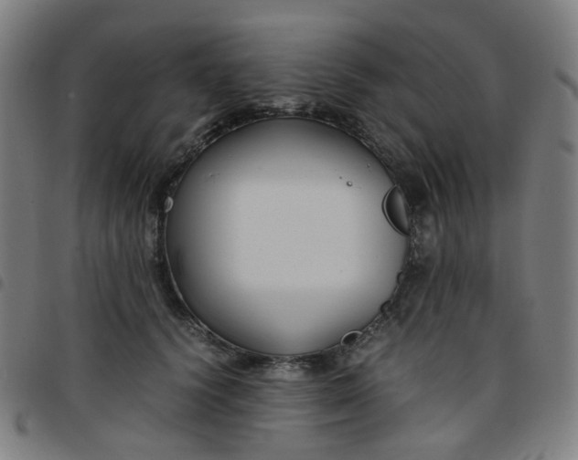 X0000097480656200803071717