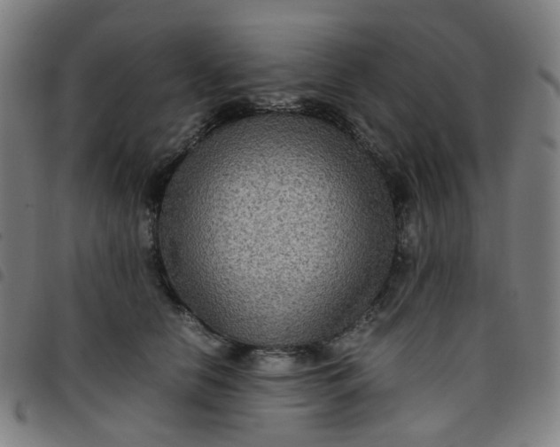 X0000097480658200803071717