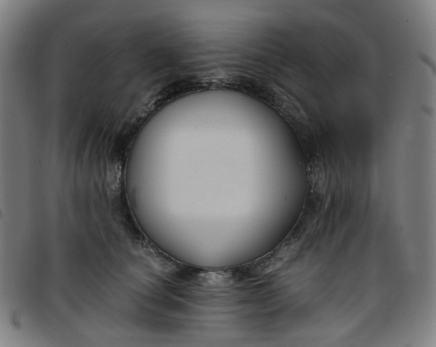 X0000097480660200803071718