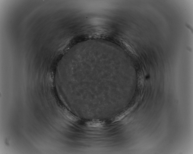 X0000097480661200803071718