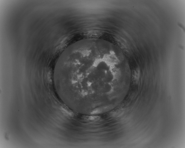 X0000097480663200803071718