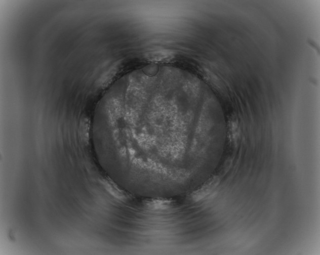 X0000097480664200803071718