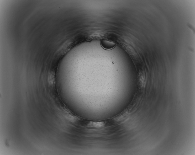 X0000097480665200803071718