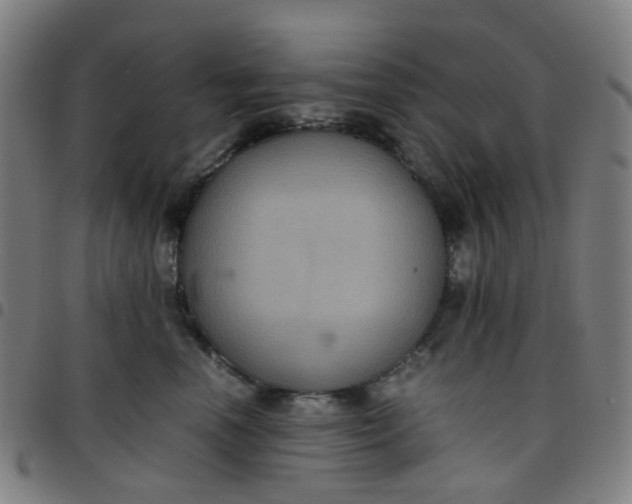 X0000097480666200803071718