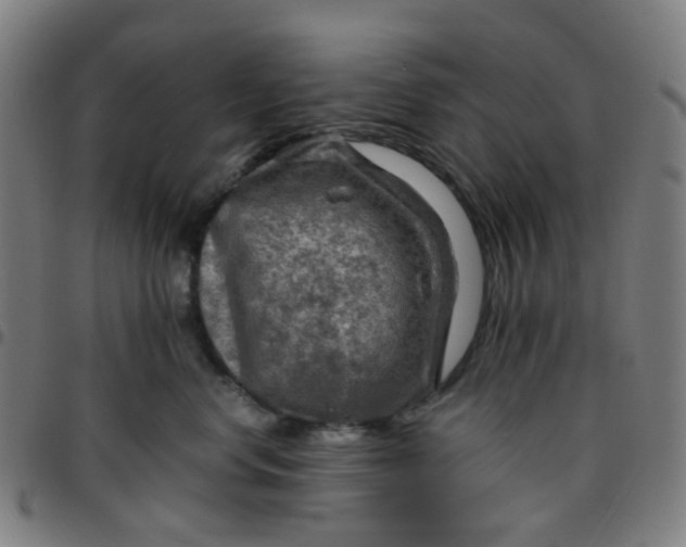 X0000097480668200803071718