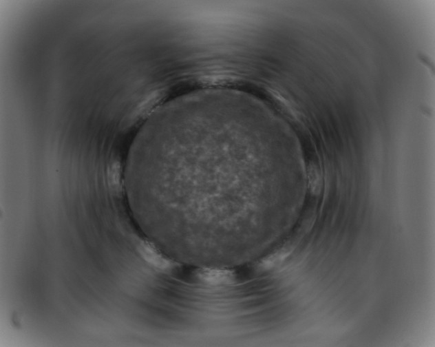 X0000097480670200803071718