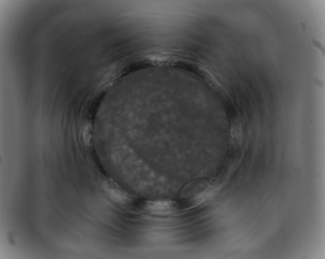 X0000097480671200803071718