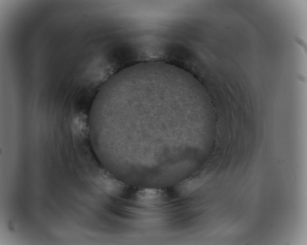 X0000097480672200803071718