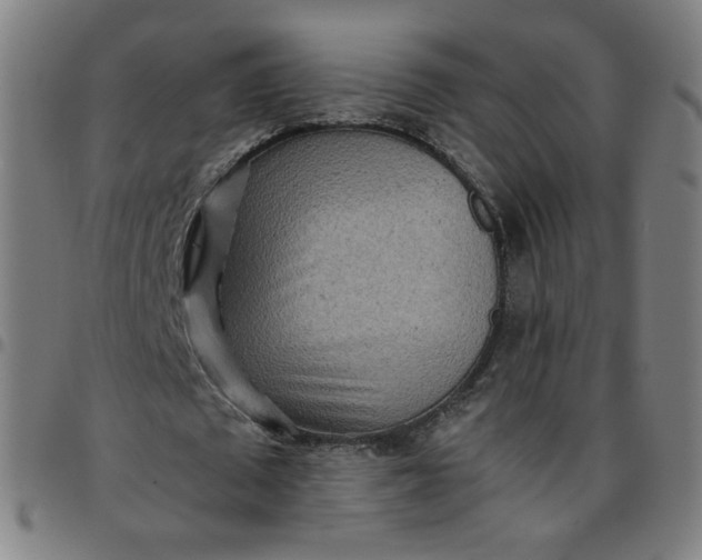 X0000097480673200803071717