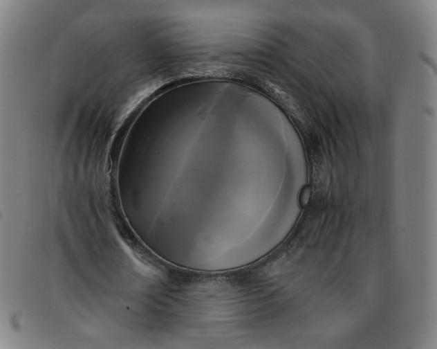 X0000097480674200803071717