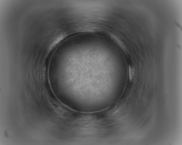 X0000097480675200803071717