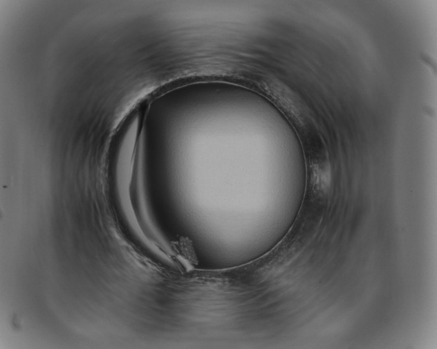 X0000097480676200803071717