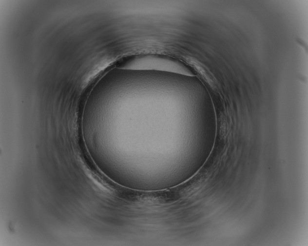 X0000097480677200803071717