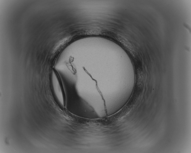 X0000097480681200803071717