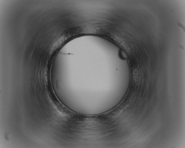 X0000097480682200803071717