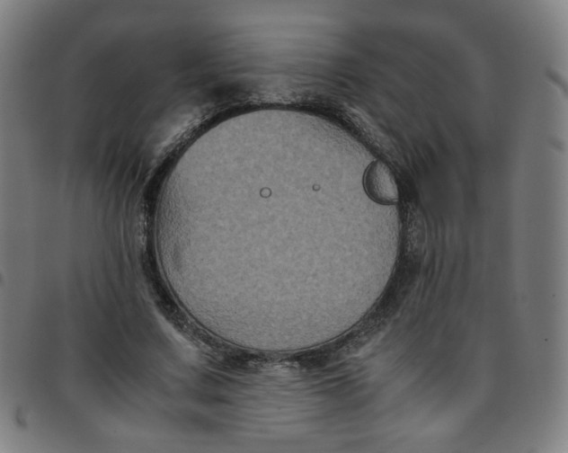 X0000097480683200803071717