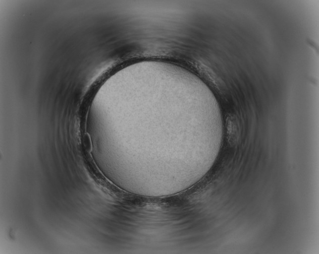 X0000097480684200803071717