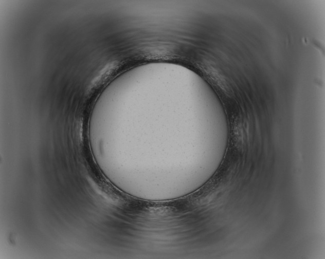 X0000097480686200803071717