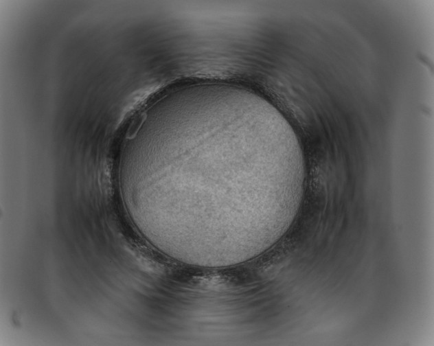 X0000097480688200803071717