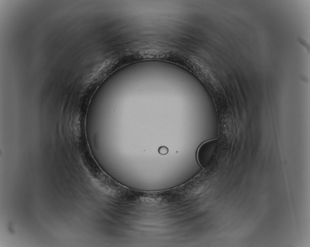 X0000097480690200803071717