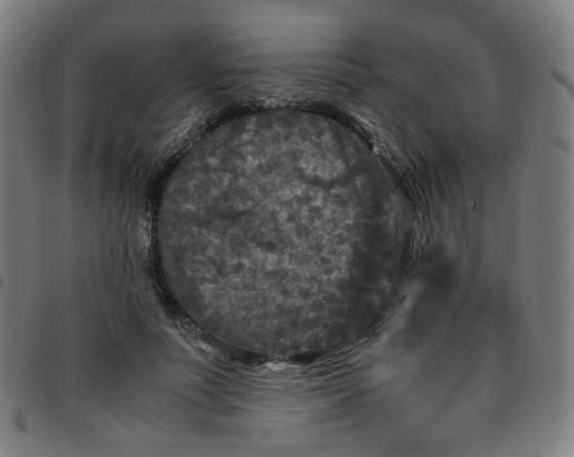 X0000097480691200803071717