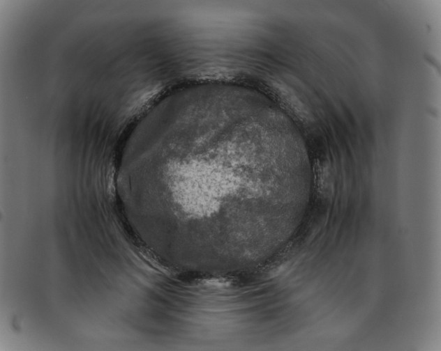 X0000097480692200803071717