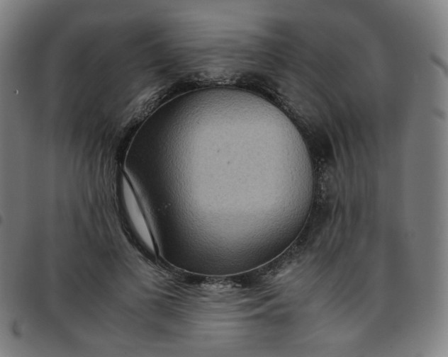 X0000097480693200803071717