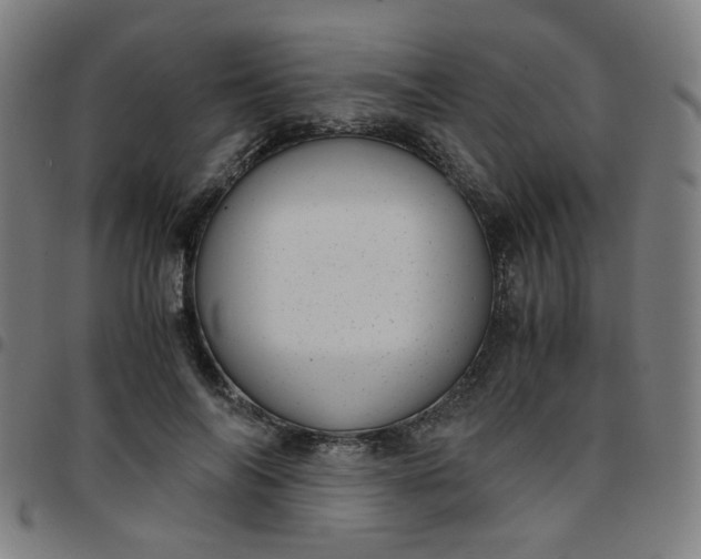 X0000097480694200803071717