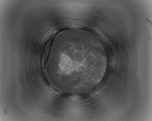 X0000097480696200803071717