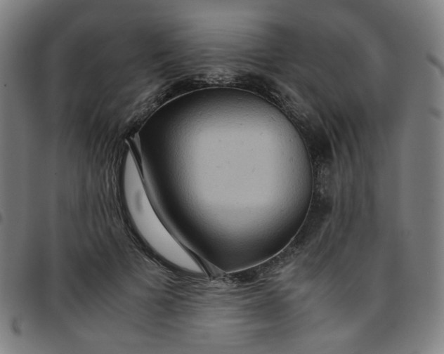 X0000097480697200803071717