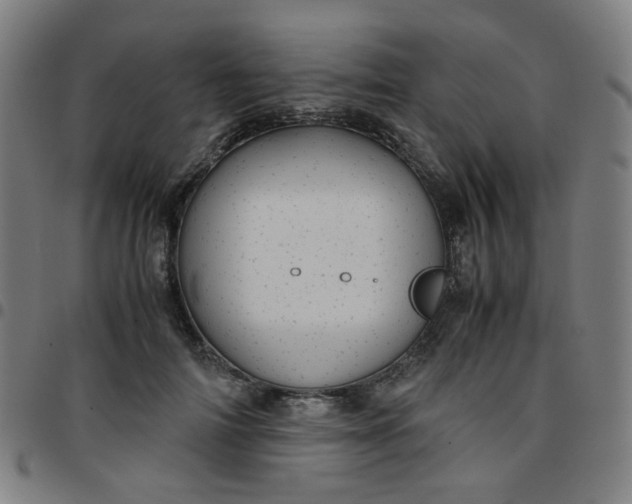 X0000097480698200803071717