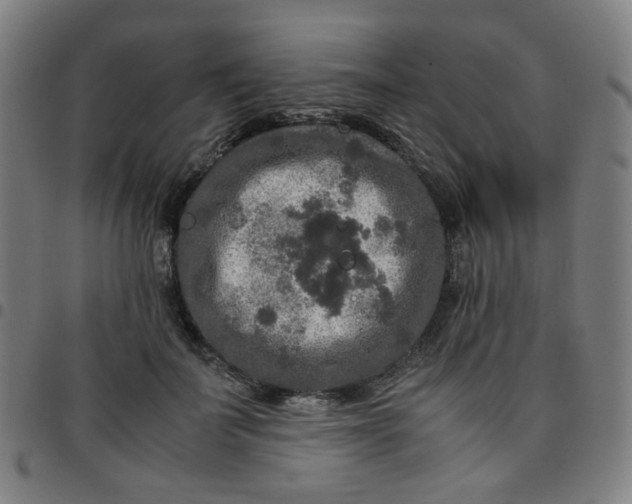 X0000097480699200803071717