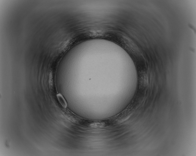 X0000097480700200803071717