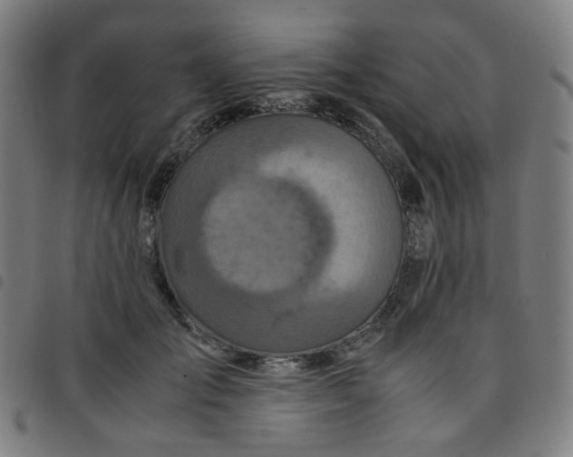 X0000097480701200803071717