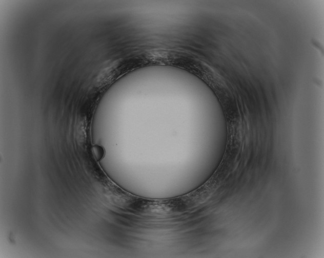 X0000097480702200803071717