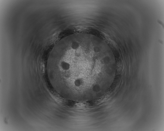 X0000097480703200803071717