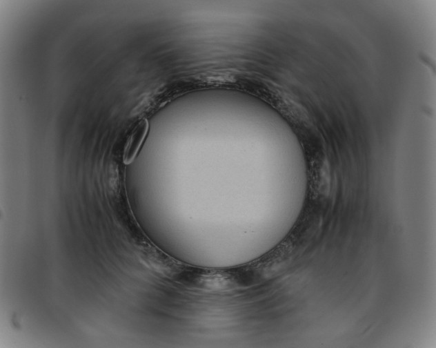 X0000097480704200803071717