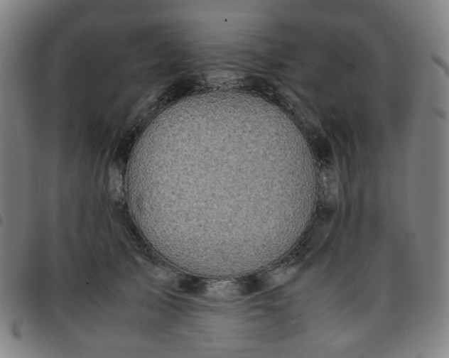 X0000097480705200803071717