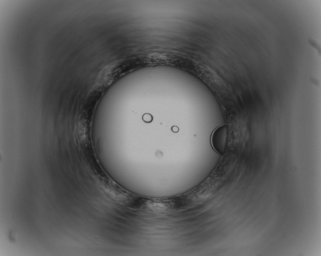 X0000097480706200803071716